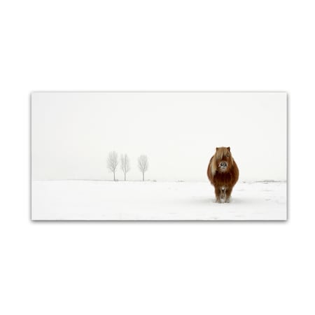 Trademark Fine Art Gert van den 'The Cold Pony' Canvas Art, 12x24 1X00080-C1224GG